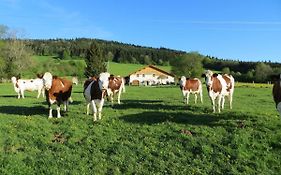 La Ferme Du Bonheur
